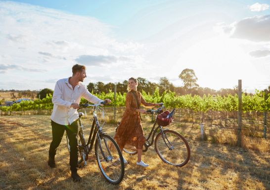 Clonakilla Wines vineyard in Murrumbateman, Yass Area in Country NSW